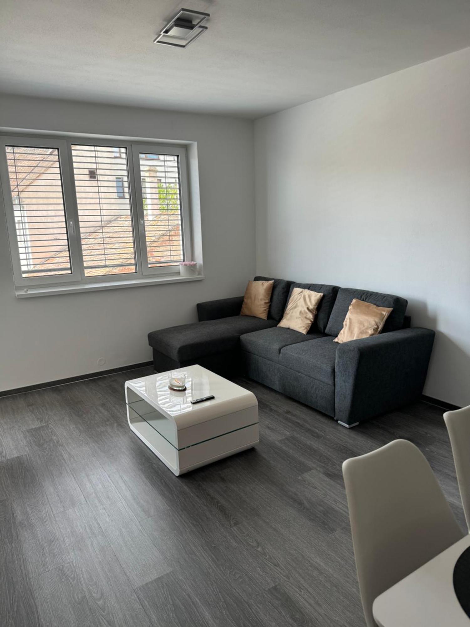 Soukromy Byt 2+Kk S Balkonem A Parkovanim 즈노이모 외부 사진